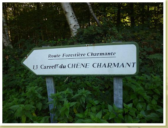 Rouen_DCA (6)